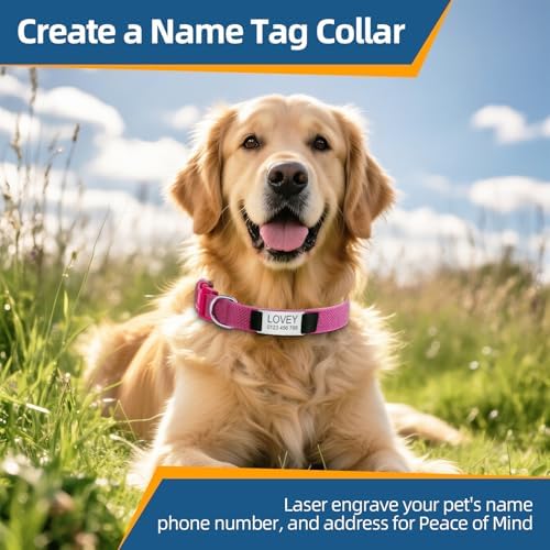 Personalized Dog Collars, Nylon Fully Reflective Dog Collar with Name Tag, Soft Padded - Custom Dogs Collars for Small, Medium, and Large Dogs&Pet