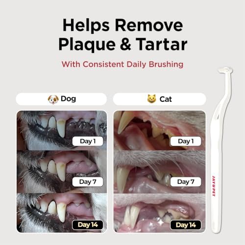 JAYU PET Dental Care Brush (Soft Bristles) 5ea - Dog Toothbrush, Cat Toothbrush, Dental Care for Kitten and Small Dogs, Removing Old Plaque and Tartar, Cat Teeth Brushing & Easy Cleaning