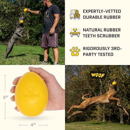 Virtually Indestructible Wobble Chew Toy - Lifetime Replacement - Tough, Durable Ball for Aggressive Chewers - Safe Non-Toxic Natural Rubber - Chew, Treats, Fetch - Med/Large Breed - 5"x4"
