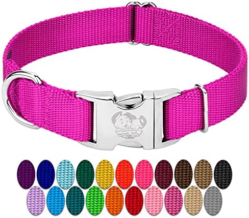 Country Brook Petz - Premium Nylon Dog Collar with Metal Buckle for Small Medium Large Breeds - 30+ Colors (Extra Large, 1 Inch, Fuchsia)