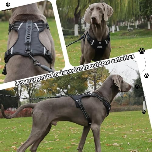Dog Harness No Pull Adjustable Reflective,for Medium and Large Small Dog with Leash 59.06in (Black, XS)