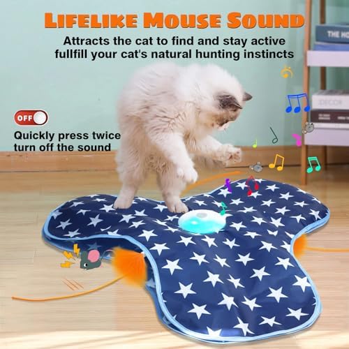 Oxawo Cat Toys Interactive Hide and Seek Cat Game