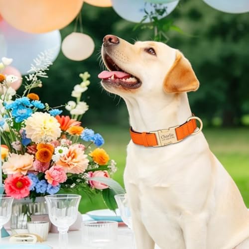 PET ARTIST Colorful Personalized Dog Collars, Breathable Soft, Orange,L