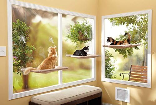 Oster Sunny Seat Window-Mounted Cat Bed, 50 Pounds