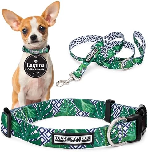 Lucky Love Dog Collar and Leash Set Matching Cute – Blue Laguna, X-Small