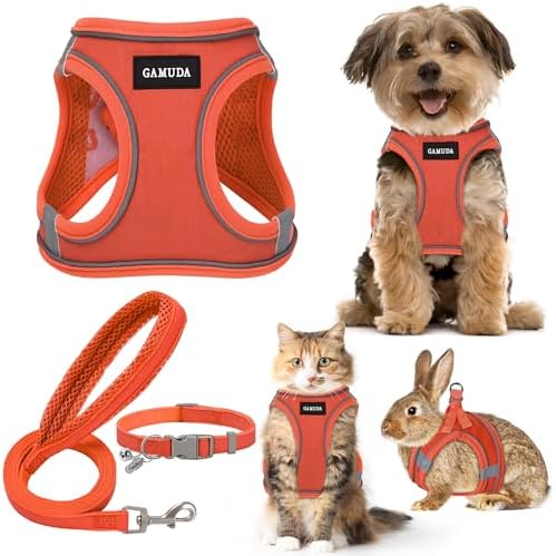 GAMUDA Small Pet Harness Collar and Leash Set, Step in No Chock No Pull Linen Fabric Soft Mesh Dog Vest Harnesses Reflective for Dogs Puppy Cats Kitten Rabbit (Orange, XXS)