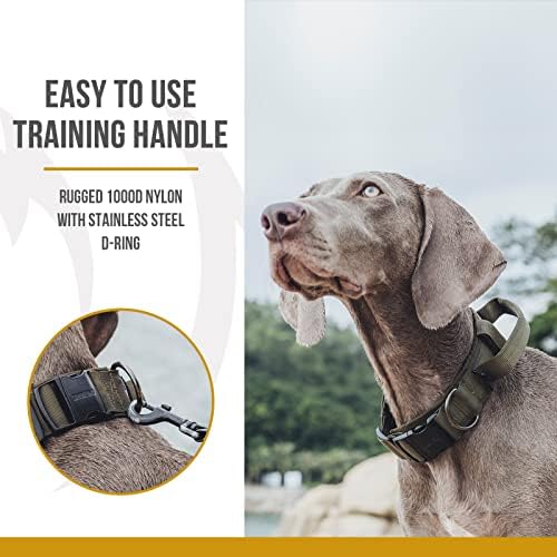 OneTigris Tough Tactical Dog Collar for Small Dogs with Handle Green S