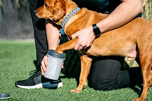 Dexas Lidded MudBuster Large Dog Paw Cleaner, Light Gray, Fits 2.5"-3.5" Wide Paws Gentle Silicone Bristles for Quick, Easy Cleaning