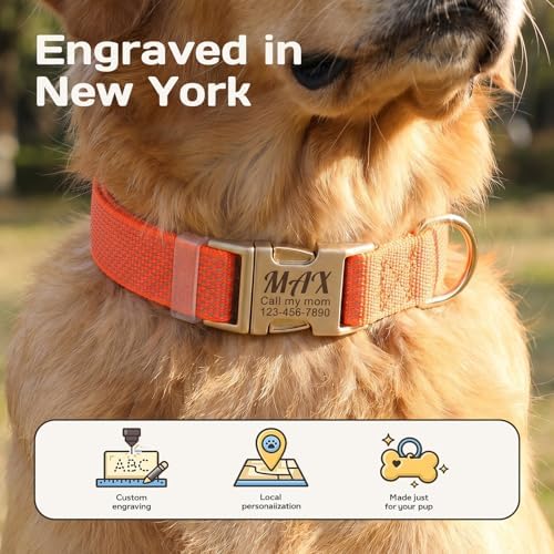 Custom Dog Collar with Name and Phone Number