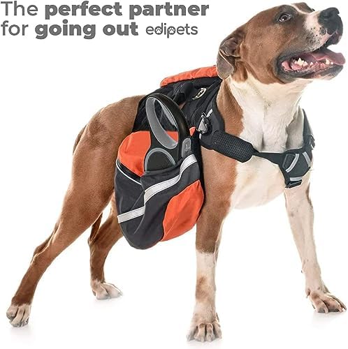 Retractable Extendable Dog Leash, 3, 5 and 8 Metres, Flexible Tape for Training and Walking, with Lock and Brake, Design and Comfortable Grip (5 Metres Over 20 kg, Grey)
