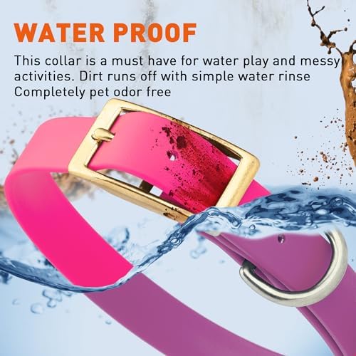 Viper Biothane Heavy Duty Waterproof Dog Collar Strong Coated Nylon Webbing w/Solid Brass Hardware Odor-Proof Easy to Clean High Performance Fits Small Medium or Large Dogs, Passionfruit Pink