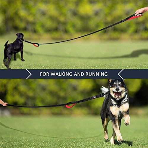 Plutus Pet Double Handle Dog Leash, 4 FT Long, for Medium Large Dogs