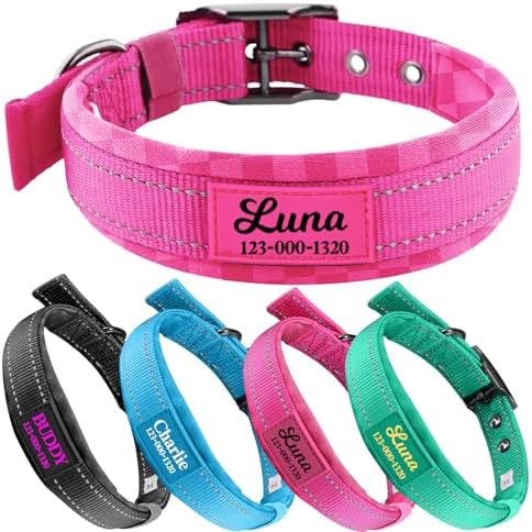 Personalized Buckle Dog Collars - Premium Padding Comfort - Reflective Custom Dog Collar with Name and Phone Number - Small, Medium, Large Dogs - Adjustable Nylon Dog Collar