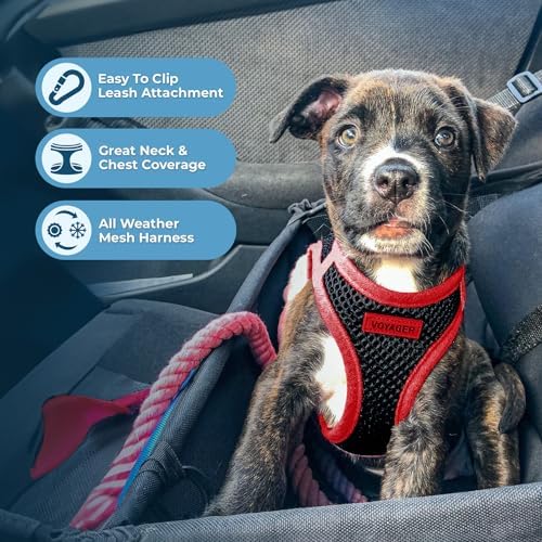 Voyager Step-in Air Dog Vest Harness - Black/Red Trim, X-Small