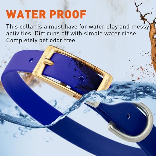 Viper Biothane Heavy Duty Waterproof Dog Collar Strong Coated Nylon Webbing w/Solid Brass Hardware Odor-Proof Easy to Clean High Performance Fits Small Medium or Large Dogs, Blueberry Royal