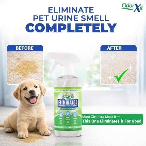 Pet Urine Odor Eliminator Spray, Ideal for Cat, Dog Poo and Urine Smell, Versatile & Natural Odor Neutralizer for Home and Outdoor Use, Ready to Use, 16oz