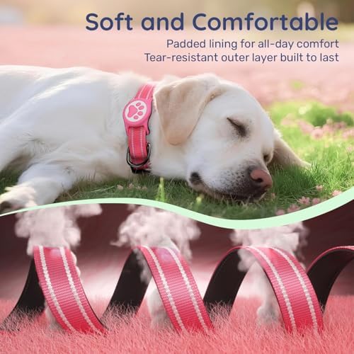 Premium Airtag Dog Collar，with IP68 Waterproof AirTag Holder,Hotpink,XL