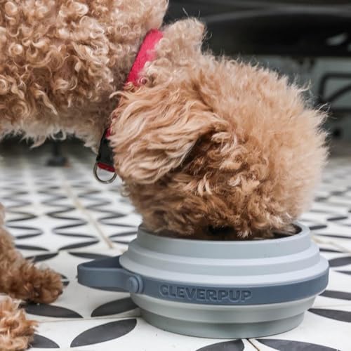 Cleverpup Nomad Small Collapsible Travel Dog Bowl - 2 Cup, Grey