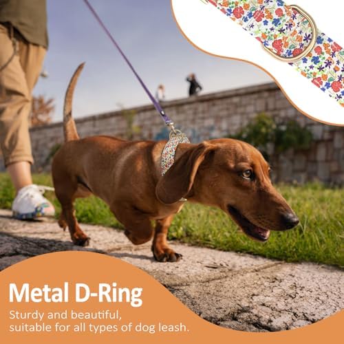 Personalized Dog Collar Custom Engraved Pet Name & Phone Number