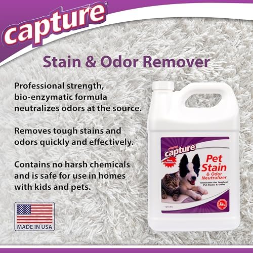 Capture Pet Stain & Odor Remover - Enzyme Pet Odor Eliminator - 1 Gallon
