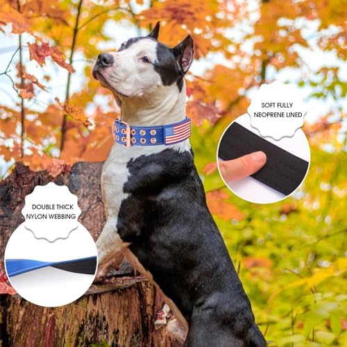 Heavy Duty Dog Collar for Medium Large Dogs,Blue,Large