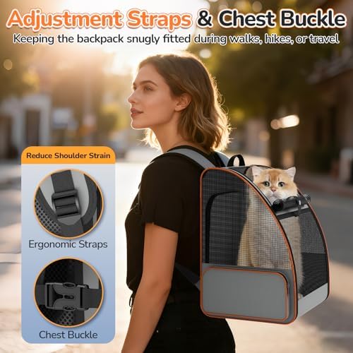 Cat Backpack Carrier Expandable for Outdoor - Foldable Cat Backpack with Breathable Mesh for Small Dog Puppy Kitten Up to 15 lbs - Soft Sided Pet Carrier for Travel Hiking Camping (Gray)