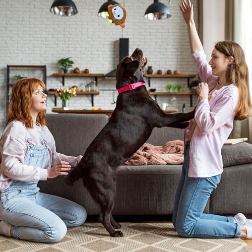 Flourish Pets 2 in 1 Multi-Layer Chew Toy for Active Dogs | Non-Toxic BPA Free Double Stitched Soft Fabric Exterior Dog Toys | Long-Lasting Dog Plush Toys – Turkey + Pumpkin (4”)