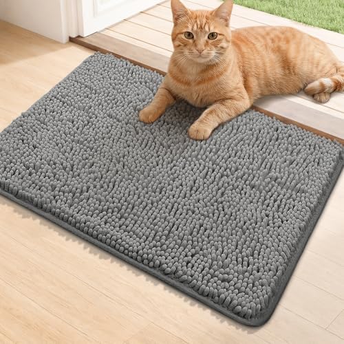 Bcoimo Super Absorbent Chenille Door Mat, Non-Slip Quick Dry Entryway Rug