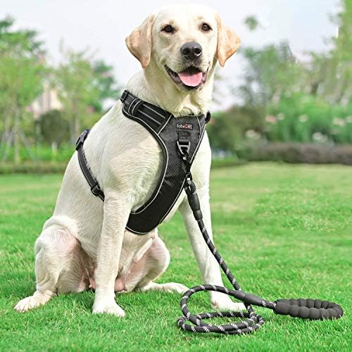 tobeDRI No Pull Dog Harness Adjustable Reflective Oxford Easy Control Medium Large Dog Harness with A Free Heavy Duty 5ft Dog Leash, Pink/Turquoise, L