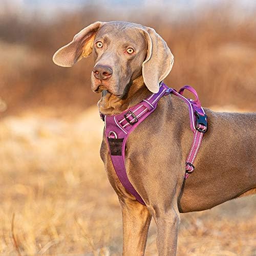 TRUE LOVE Dog Harness No Pull Nylon Reflective Pet Harness Adjustable Comfortable Control Step-in Brilliant Colors Truelove TLH56512 XL