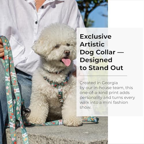 KIKI & RIKI Soft Nylon Dog Collar for Small Dogs, Adjustable, Quick-Release Buckle, Size S (Neck 9.4-14.6"), Green Artist-Designed Print