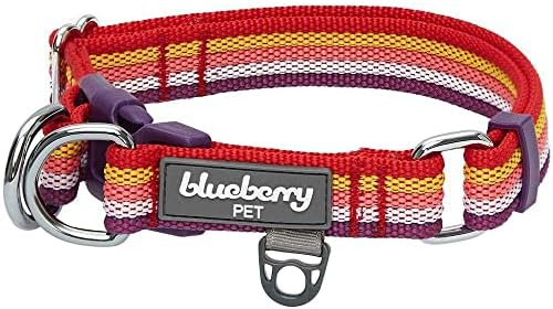 Blueberry Pet Dual D-Ring Safety Dog Collar | Adjustable Nylon Collar with Multicolor Stripes in Mixed Tone Rainbow Color| Durable Collar Size Small for Large Breeds