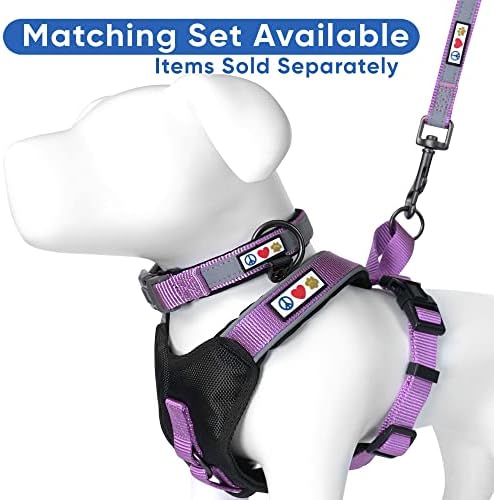 Pawtitas Orchid Dog Leash 6 ft Custom ID Lead for Dogs & Puppies Reflective Comfortable Padded Handle Embroidered Name & Phone Number