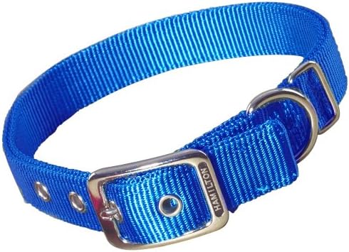 Hamilton Heavy Duty Nylon Buckle Dog Collar, 1" x 32", Blue