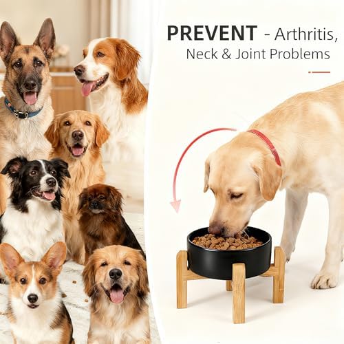 Elevated/Raised Ceramic Dog Bowl with Bamboo Stand,8 inch 7.6 Cups Non-Slip Heavy-Weighted Single Pet Dish, Reduces Neck Strain Black
