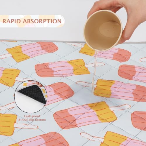 IEUUMLER Washable Pee Pads for Dogs, 2 Pack Non-Slip & Waterproof Pack Whelping Pad, Reusable Puppy Potty Training Pad with Fast Absorbent for Playpen EU007 (Grey Ice Pop, 24"X18"-2pcs)