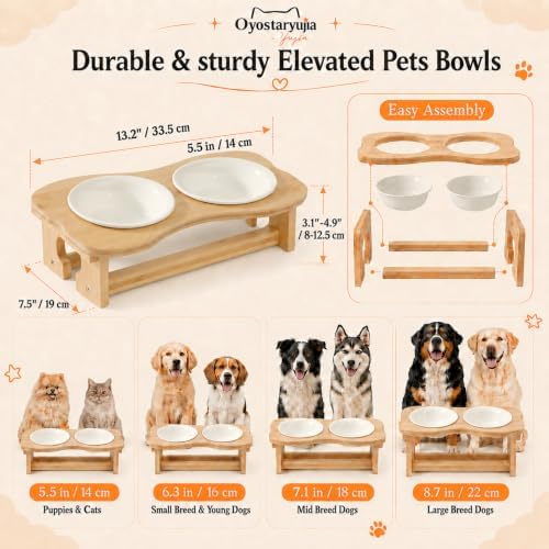 Bone Elevated 5.5" Ceramic Cat Puppy Bowls, Raised Cat Bowl Stand