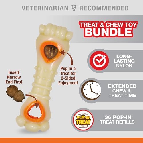 Nylabone Power Chew Knuckle Bone & Pop-in Dog Treat Toy & 30 Treat Refills