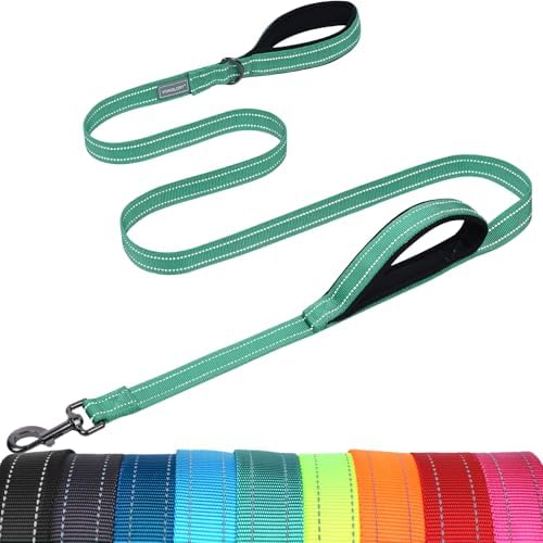 VIVAGLORY Double Handle Dog Leash Twingrip, 5ft x 1in, Turquoise