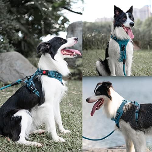 PoyPet Dog Harness and Leash Set, No Pull Vest with Front Clip and Handle