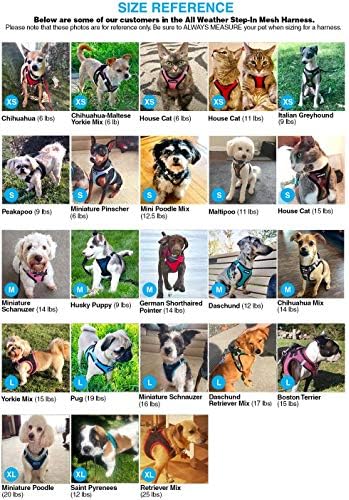 Voyager Step-in Air Dog Vest Harness - Black/Black Trim, Medium