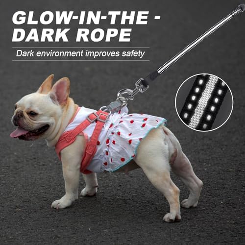 Retractable Dog Leash, 20 FT Dog Walking Leash for Small Medium Dogs up to 44 lbs, Heavy Duty No Tangle (Black)