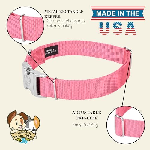 Country Brook Petz - Premium Nylon Dog Collar with Metal Buckle for Small Medium Large Breeds - 30+ Colors (Small, 3/4 Inch, Pink)