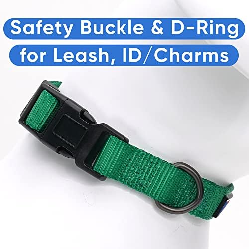 Pawtitas Solid Color Dark Green Puppy or Dog Collar, Medium
