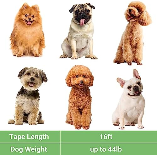 Segarty 16 Ft Extendable Dog Leash, 5m Heavy Duty Walking Dog Leash for Medium Small Dogs up to 44lb, Anti-Slip Handle 360°Tangle-Free Nylon Tape, One-Handed Button Lock & Release (Green)