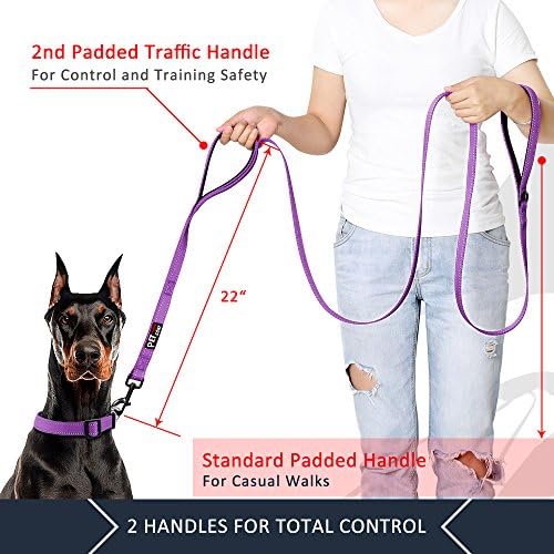 Plutus Pet Double Handle Dog Leash, 4 FT Long, for Medium Large Dogs