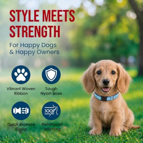 THE WORTHY DOG Fun Icon Print, Adjustable Dog Collar, Small Dogs,Pickleball