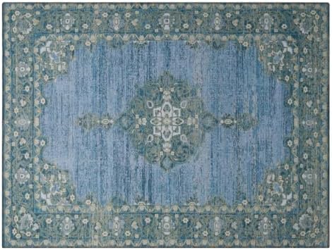 Lovewag Cat Litter Mat, Litter Box Mat, Blue Hazel, 28x41, 2 Pack