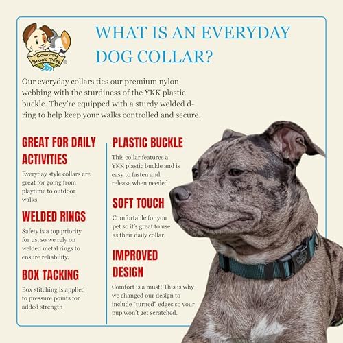 Country Brook Petz - Everyday Nylon Dog Collar for Large, Medium, and Small Dogs and Puppies - for Everyday Use in 30+ Colors (3XS, 3/8 Inch Wide, Green)