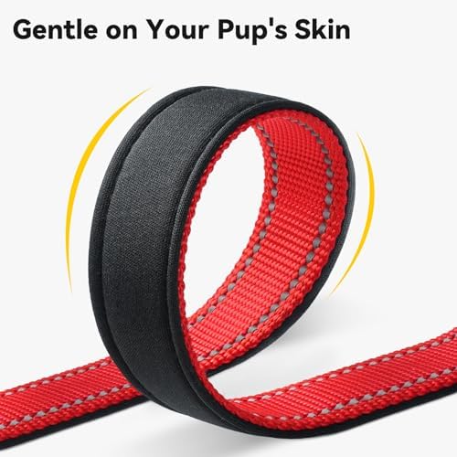 Joytale Personalized Dog Collar with Name Plate Built-in for Large Dogs